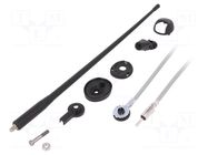 Antenna; car top,automotive; 0.36m; AM,FM; rubber mast,universal MTA