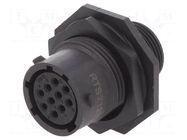 Connector: circular; socket; for panel mounting,front side nut AMPHENOL