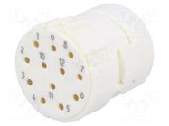 Connector: M23; contact insert; PIN: 12; female; crimped; 8A; 200V HARTING