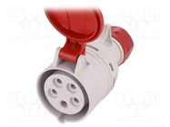 Connector: AC supply 3-phase; plug; female; 16A; 400VAC; IEC 60309 PAWBOL