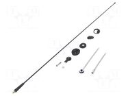Antenna; car top; 0.84m; AM,FM; Citroën,Ford,Peugeot,Renault CALEARO