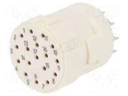 Connector: M23; contact insert; PIN: 17; female; soldering; 8A; 160V HARTING