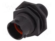 Connector: circular; socket; for panel mounting,front side nut AMPHENOL