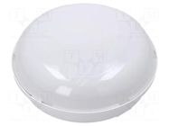 Lamp: LED lighting fixture; PANDA LED; polycarbonate; 4000K; IP65 PAWBOL