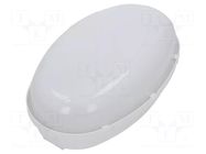 Lamp: lighting fixture; PANDA OVAL; polycarbonate; E27; IP65; oval PAWBOL