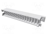 Connector: DIN 41612; socket; male; PIN: 32; straight; 6A; THT; d+z HARTING