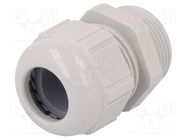 Cable gland; PG21; IP68; polyamide; light grey LAPP