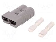 Connector: DC supply; plug; hermaphrodite; SB® 350; 600V; PIN: 2 ANDERSON POWER PRODUCTS