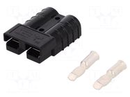 Connector: DC supply; plug; hermaphrodite; SB® 50; 600V; PIN: 2 ANDERSON POWER PRODUCTS