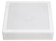 Lamp: lighting fixture; ERIS; polycarbonate; E27; IP44; Body: white PAWBOL