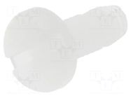 Screw; M2.5x8; Head: cheese head; slotted; plastic; natural ESSENTRA