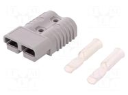 Connector: DC supply; plug; hermaphrodite; SB® 175; 600V; PIN: 2 ANDERSON POWER PRODUCTS