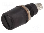 Fuse holder; 5x20mm; 250V; on panel; black; UL94V-0; polyamide BULGIN