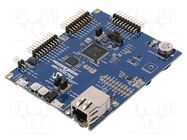 Dev.kit: Microchip ARM MICROCHIP TECHNOLOGY