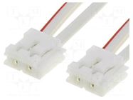 Connection cable; 2x0.34mm2; 2m; Features: both sides connector SIGNAL-CONSTRUCT