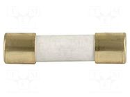 Fuse: fuse; 16A; 250VAC; 125VDC; time-lag; ceramic,cylindrical SCHURTER