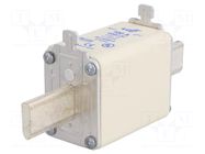 Fuse: fuse; 100A; 1000VDC; gPV; ceramic,industrial; NH1 DF ELECTRIC