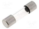 Fuse: fuse; time-lag; 1A; 250VAC; cylindrical,glass; 5x20mm; brass LITTELFUSE