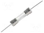 Fuse: fuse; 6.3A; 250VAC; time-lag; ceramic,cylindrical; 5x20mm SCHURTER