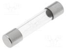 Fuse: fuse; quick blow; 100mA; 250VAC; cylindrical,glass; 6.3x32mm LITTELFUSE