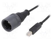 Cable; USB 2.0; USB A plug,USB B plug; 2m; IP66,IP68,IP69K; 1A 