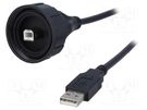 Cable; USB Buccaneer; USB A plug,USB B plug; 2m; IP68 BULGIN