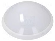 Lamp: LED lighting fixture; PANTERA LED; polycarbonate; 4000K PAWBOL