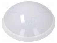 Lamp: LED lighting fixture; PANTERA LED; polycarbonate; 4000K PAWBOL