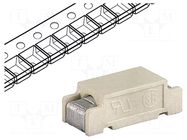 Fuse: fuse; 250mA; 250VAC; 250VDC; quick blow; SMD; OMF 250; copper SCHURTER