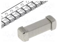 Fuse: fuse; 100mA; 250VAC; 125VDC; time-lag; ceramic; SMD; UMT 250 SCHURTER