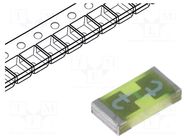 Fuse: fuse; 500mA; 32VAC; 63VDC; quick blow; 3.2x1.6mm; SMD; USI SCHURTER