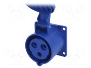 Connector: AC supply; socket; female; 32A; 230VAC; IEC 60309; IP54 PCE