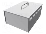 Enclosure: with panel; vented; 518; X: 197mm; Y: 281mm; Z: 120mm HAMMOND