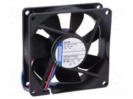 Fan: DC; axial; 24VDC; 80x80x25mm; 79m3/h; 37dBA; ball; 3600rpm EBM-PAPST