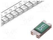 Fuse: PTC polymer; 500mA; Imax: 100A; 0ZCJ; 1206 BEL FUSE