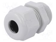 Cable gland; PG11; IP68; polyamide; light grey; UL94V-0; HSK-K HUMMEL