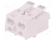 Installation; 24A; 450V; push-in,spring clamp; 0.5÷2.5mm2; ways: 2 ELECTRO TERMINAL