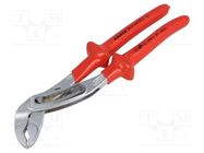 Pliers; aligator type; Pliers len: 300mm; chrome-vanadium steel KNIPEX