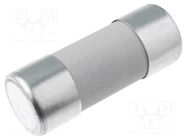 Fuse: fuse; gR; 32A; 690VAC; ceramic,cylindrical,industrial DF ELECTRIC