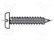 Screw; 3.9x9.5; Head: cheese head; slotted; 1mm; steel; zinc; BN 941 BOSSARD