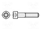 Screw; M8x120; 1.25; Head: cheese head; hex key; HEX 6mm; steel BOSSARD
