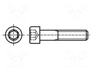 Screw; M12x200; 1.75; Head: cheese head; hex key; HEX 10mm; steel BOSSARD