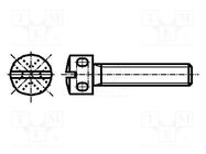 Screw; M4x12; 0.7; Head: drilled fillister head,cheese head; 1mm BOSSARD
