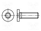 Screw; M2.5x5; 0.45; Head: cheese head; Torx®; TX06 BOSSARD