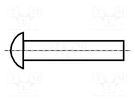 Rivet; aluminium; Rivet diam: 2mm; L.rivet: 3mm; BN 401; DIN 660 BOSSARD