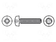 Screw; for metal; 4x8; Head: cheese head; Torx®; TX20; steel; zinc BOSSARD