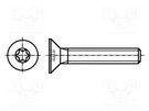 Screw; M6x30; Head: countersunk; Torx®; TX30; ISO 14581 BOSSARD