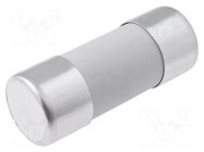 Fuse: fuse; 40A; 690VAC; gG; ceramic,cylindrical,industrial DF ELECTRIC