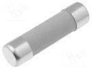 Fuse: fuse; gG; 20A; 400VAC; ceramic,cylindrical,industrial DF ELECTRIC