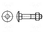 Screw; M6x80; 1; Head: button; square; steel; zinc; DIN 603; 18mm BOSSARD